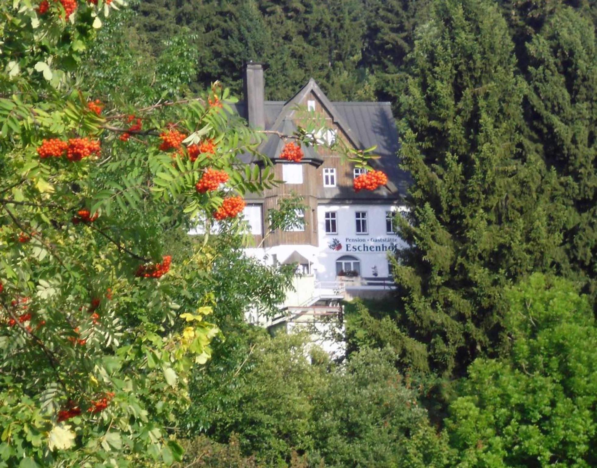 Pension Und Gaststaette Naturbaude Eschenhof Oberwiesenthal Exteriér fotografie